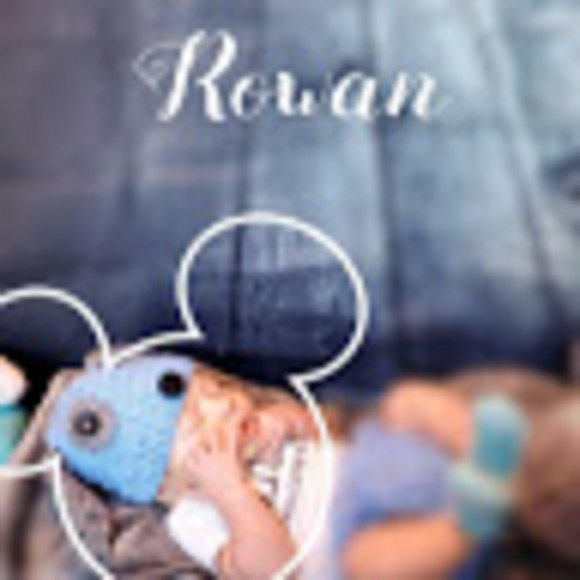 Meet your Posher, Shania - Picture 1 of 1